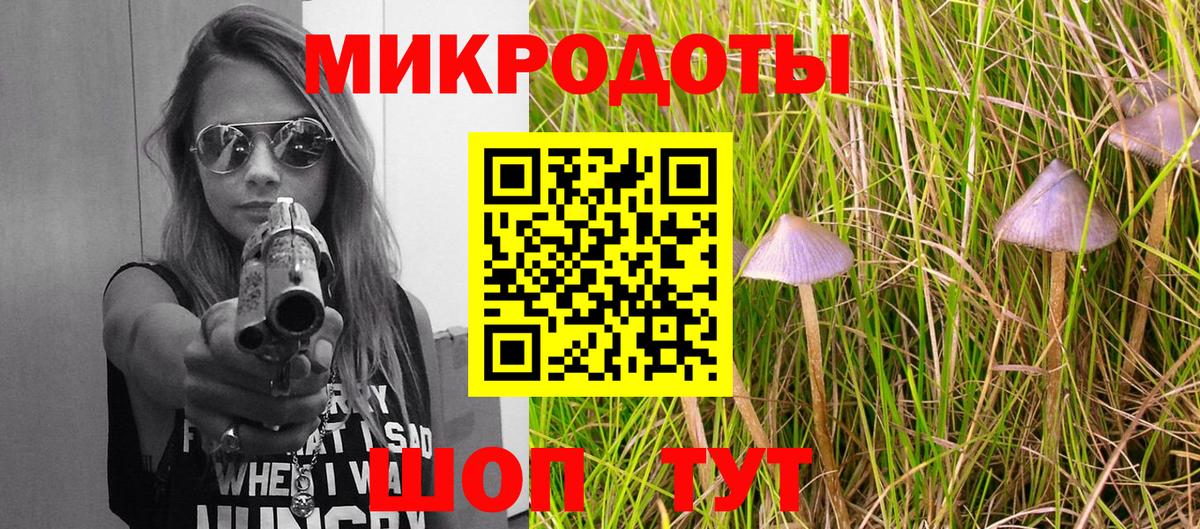 Галлюциногенные грибы Cubensis Спасск-Дальний